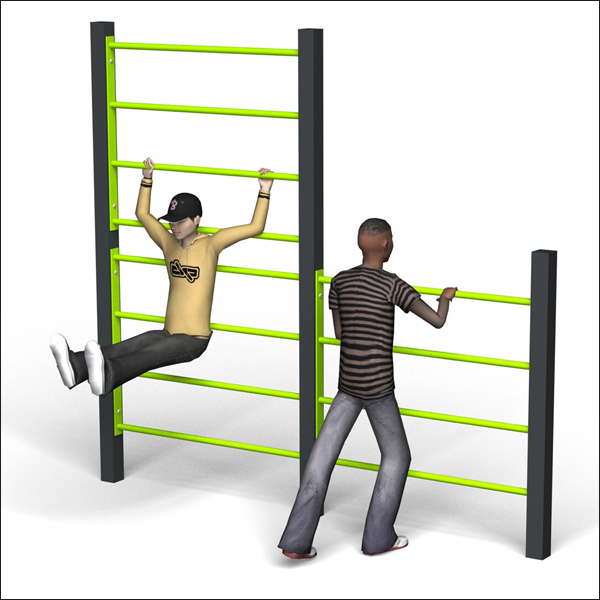 SINGLE EXERCISE LADDERS